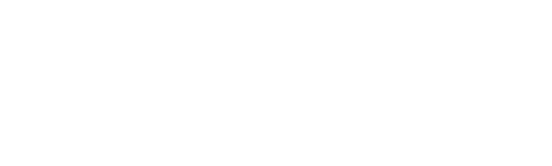 ID-NET Logo